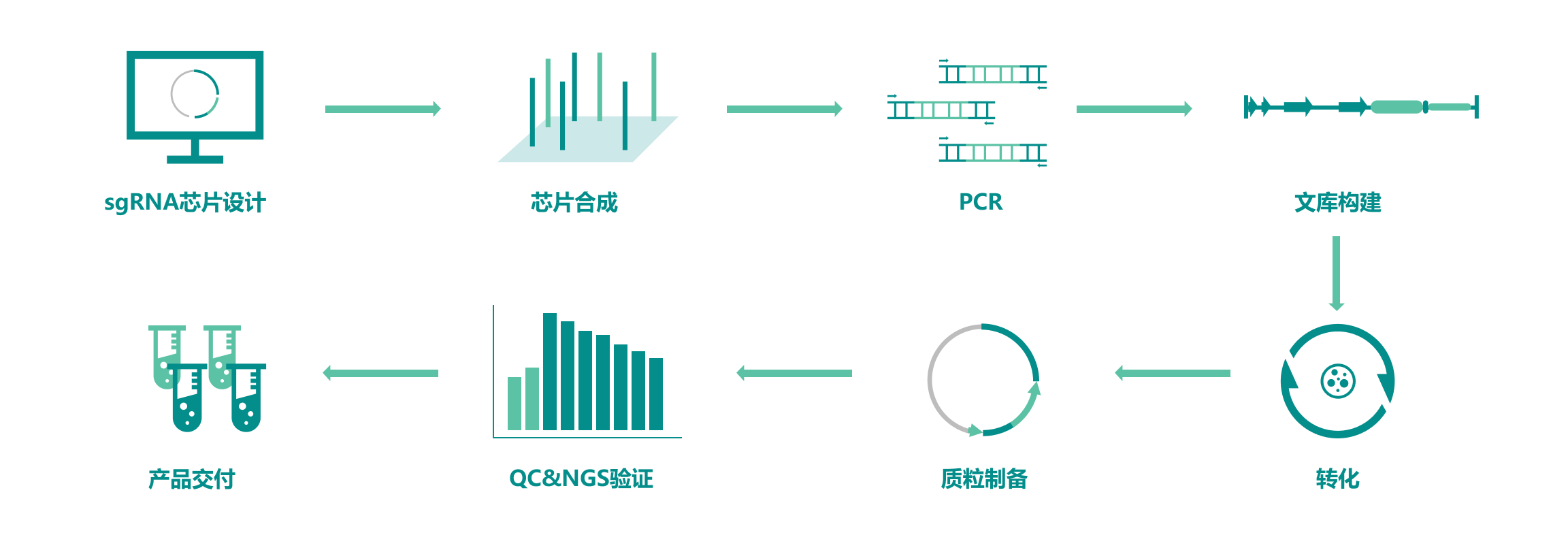 CRISPR基因编辑筛选服务流程