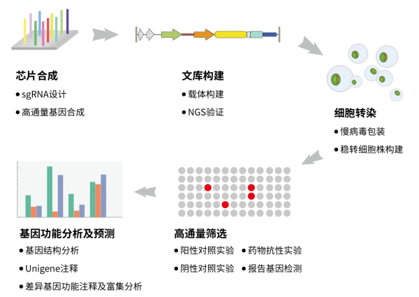 CRISPR-one-stop-service